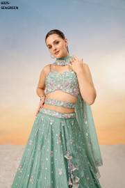 PF  6025 COLOUR’S